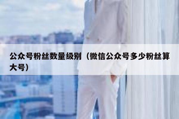 公众号粉丝数量级别（微信公众号多少粉丝算大号） 第1张