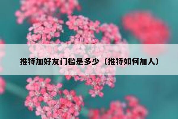 推特加好友门槛是多少（推特如何加人） 第1张