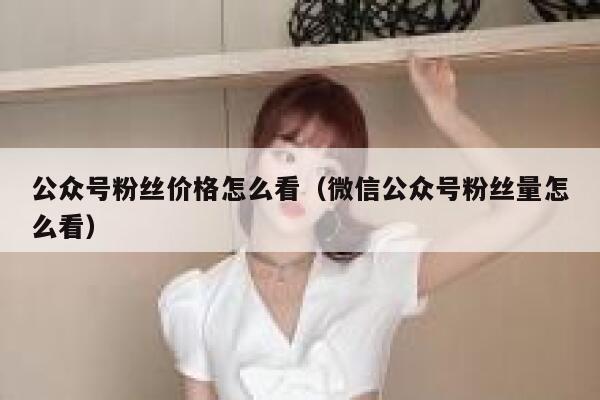 公众号粉丝价格怎么看（微信公众号粉丝量怎么看） 第1张