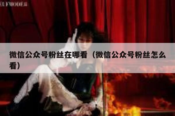 微信公众号粉丝在哪看（微信公众号粉丝怎么看） 第1张