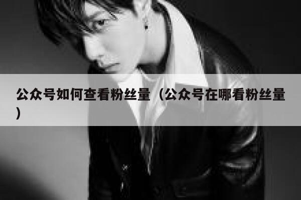 公众号如何查看粉丝量（公众号在哪看粉丝量） 第1张