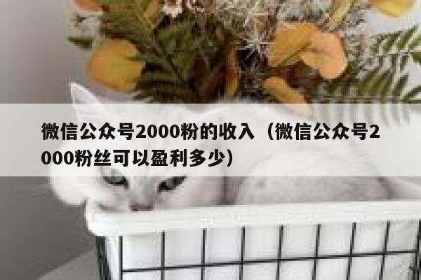 微信公众号2000粉的收入（微信公众号2000粉丝可以盈利多少） 第1张