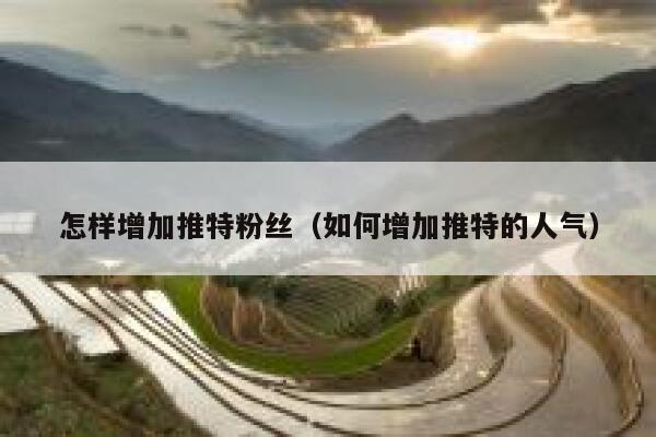 怎样增加推特粉丝(如何增加推特的人气) 第1张 怎样增加推特粉丝(如何增加推特的人气) 第1张