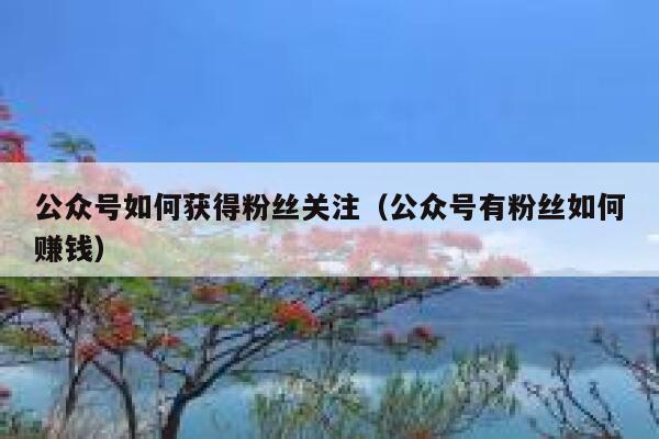 公众号如何获得粉丝关注（公众号有粉丝如何赚钱） 第1张