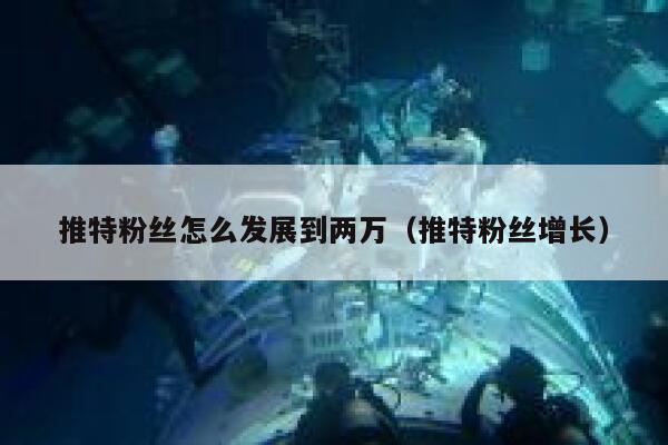 推特粉丝怎么发展到两万（推特粉丝增长） 第1张