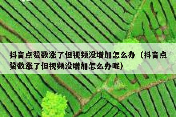 抖音点赞数涨了但视频没增加怎么办（抖音点赞数涨了但视频没增加怎么办呢） 第1张