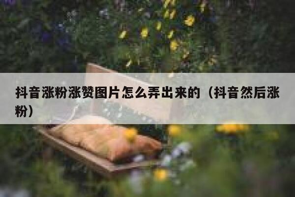 抖音涨粉涨赞图片怎么弄出来的（抖音然后涨粉） 第1张