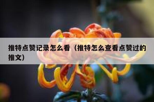 推特点赞记录怎么看（推特怎么查看点赞过的推文） 第1张