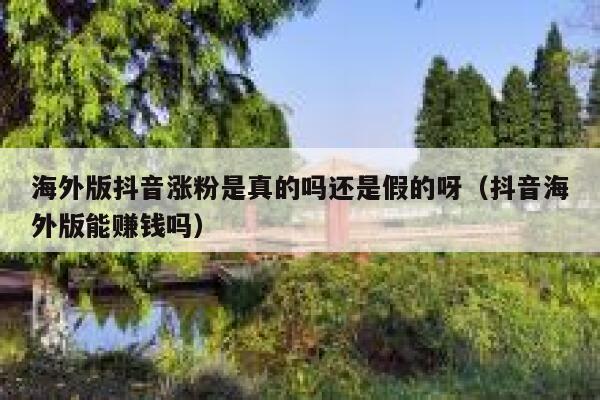 海外版抖音涨粉是真的吗还是假的呀（抖音海外版能赚钱吗） 第1张