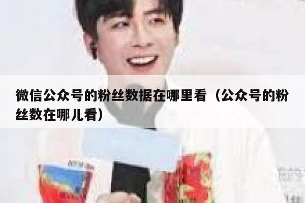 微信公众号的粉丝数据在哪里看（公众号的粉丝数在哪儿看） 第1张