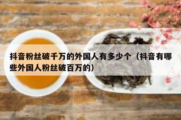 抖音粉丝破千万的外国人有多少个（抖音有哪些外国人粉丝破百万的） 第1张