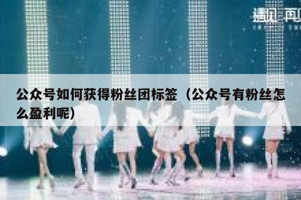 公众号如何获得粉丝团标签（公众号有粉丝怎么盈利呢） 第1张