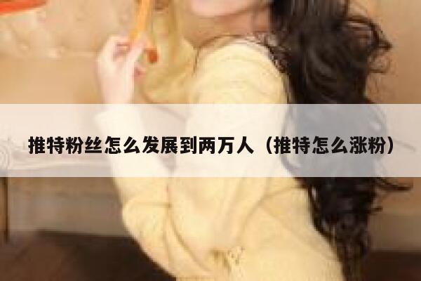 推特粉丝怎么发展到两万人（推特怎么涨粉） 第1张