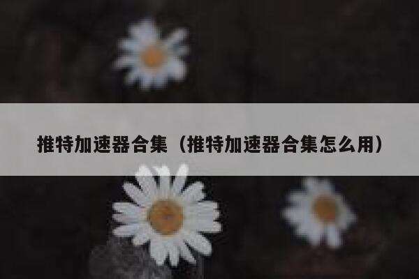 推特加速器合集（推特加速器合集怎么用） 第1张