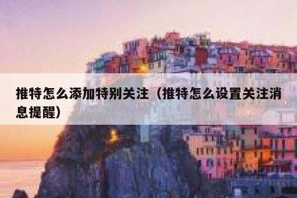 推特怎么添加特别关注(推特怎么设置关注消息提醒) 第1张 推特怎么添加特别关注(推特怎么设置关注消息提醒) 第1张