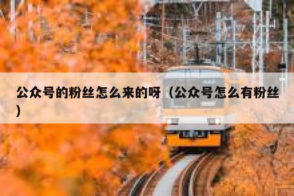 公众号的粉丝怎么来的呀（公众号怎么有粉丝） 第1张