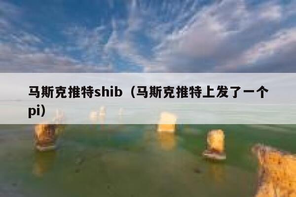 马斯克推特shib（马斯克推特上发了一个pi） 第1张