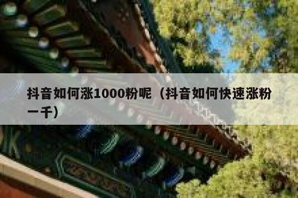 抖音如何涨1000粉呢（抖音如何快速涨粉一千） 第1张