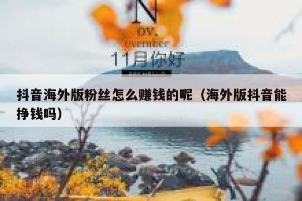 抖音海外版粉丝怎么赚钱的呢（海外版抖音能挣钱吗） 第1张