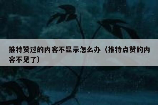 推特赞过的内容不显示怎么办（推特点赞的内容不见了） 第1张
