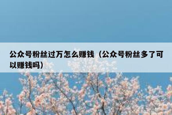 公众号粉丝过万怎么赚钱（公众号粉丝多了可以赚钱吗） 第1张