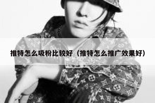 推特怎么吸粉比较好（推特怎么推广效果好） 第1张