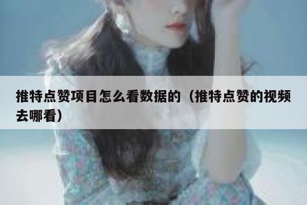 推特点赞项目怎么看数据的（推特点赞的视频去哪看） 第1张