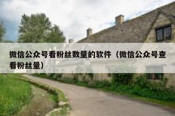 微信公众号看粉丝数量的软件（微信公众号查看粉丝量） 第1张