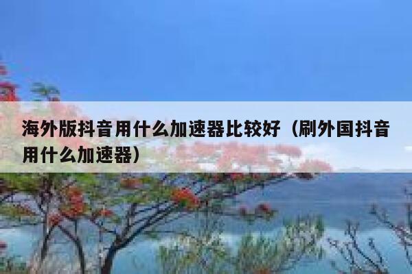 海外版抖音用什么加速器比较好（刷外国抖音用什么加速器） 第1张