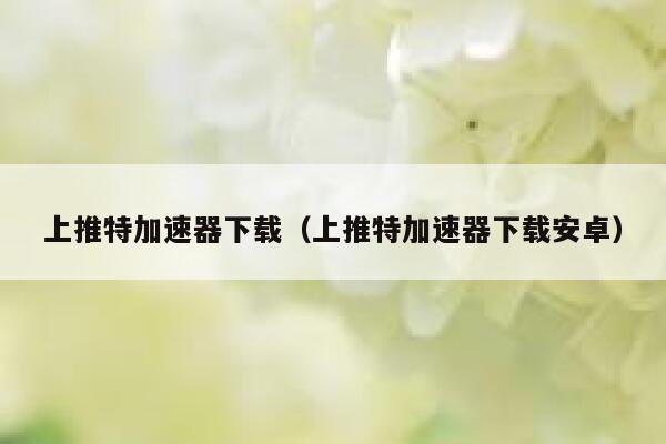 上推特加速器下载（上推特加速器下载安卓） 第1张