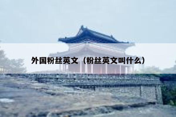 外国粉丝英文（粉丝英文叫什么） 第1张