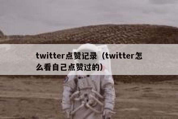 twitter点赞记录（twitter怎么看自己点赞过的） 第1张