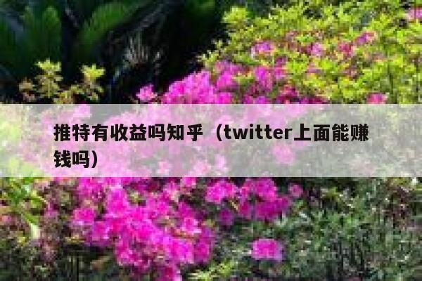 推特有收益吗知乎（twitter上面能赚钱吗） 第1张
