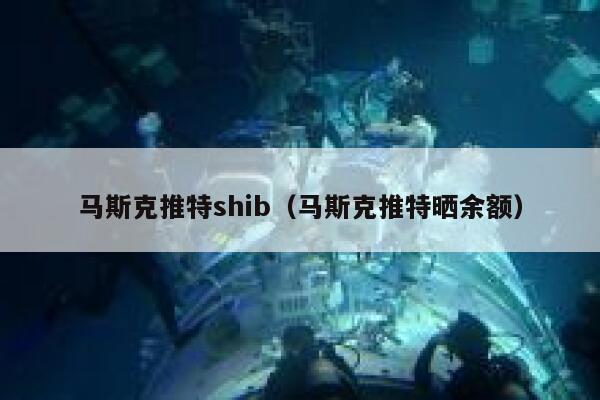 马斯克推特shib（马斯克推特晒余额） 第1张