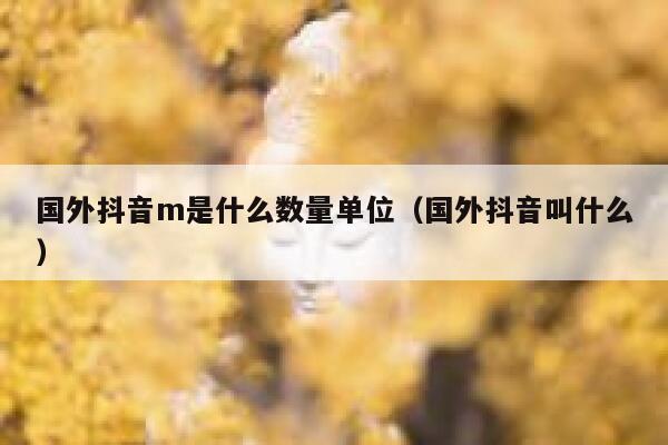 国外抖音m是什么数量单位（国外抖音叫什么） 第1张