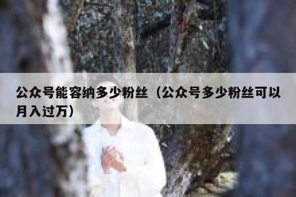 公众号能容纳多少粉丝（公众号多少粉丝可以月入过万） 第1张