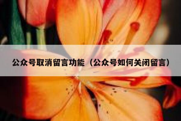 公众号取消留言功能（公众号如何关闭留言） 第1张