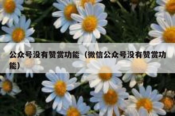 公众号没有赞赏功能(微信公众号没有赞赏功能) 第1张 公众号没有赞赏功能(微信公众号没有赞赏功能) 第1张