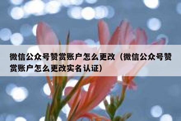 微信公众号赞赏账户怎么更改（微信公众号赞赏账户怎么更改实名认证） 第1张