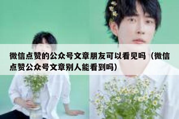 微信点赞的公众号文章朋友可以看见吗（微信点赞公众号文章别人能看到吗） 第1张