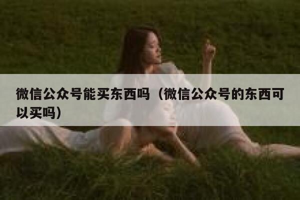 微信公众号能买东西吗（微信公众号的东西可以买吗） 第1张