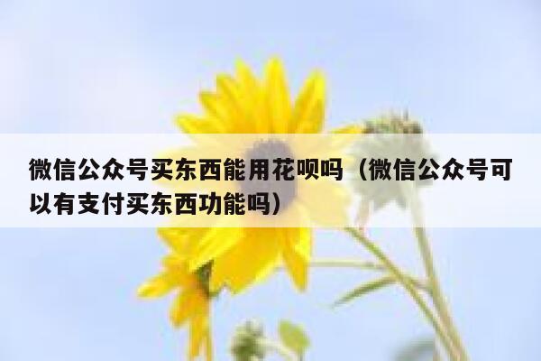 微信公众号买东西能用花呗吗（微信公众号可以有支付买东西功能吗） 第1张
