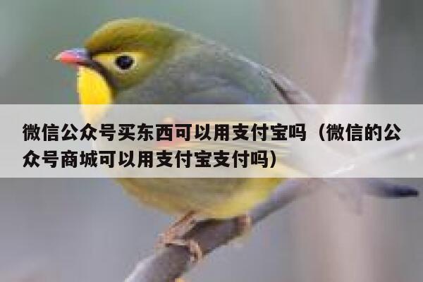 微信公众号买东西可以用支付宝吗（微信的公众号商城可以用支付宝支付吗） 第1张