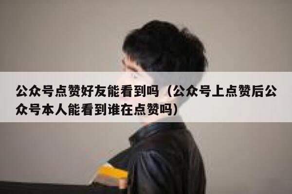 公众号点赞好友能看到吗（公众号上点赞后公众号本人能看到谁在点赞吗） 第1张
