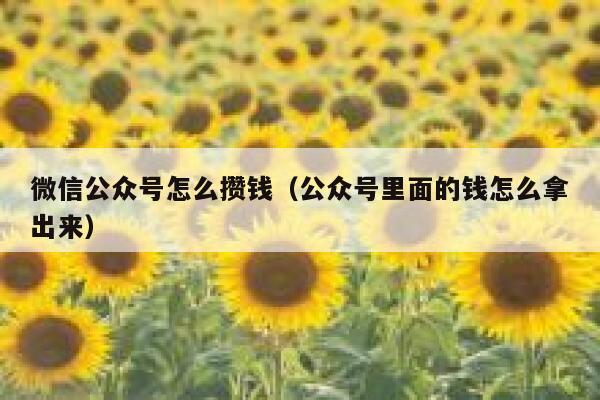 微信公众号怎么攒钱（公众号里面的钱怎么拿出来） 第1张
