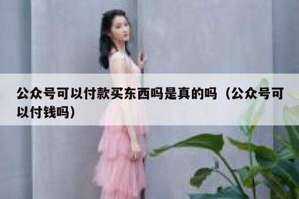 公众号可以付款买东西吗是真的吗（公众号可以付钱吗） 第1张