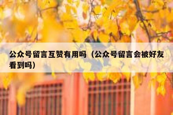 公众号留言互赞有用吗（公众号留言会被好友看到吗） 第1张