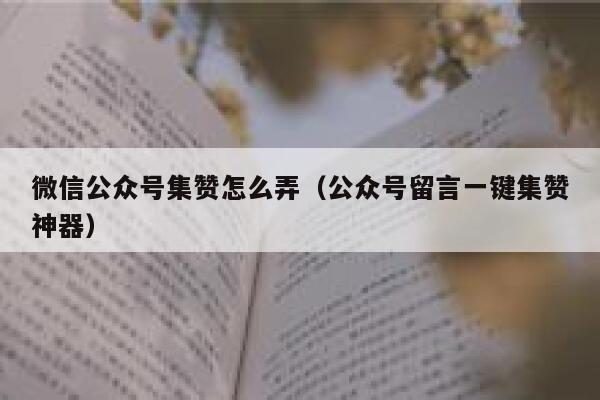 微信公众号集赞怎么弄（公众号留言一键集赞神器） 第1张