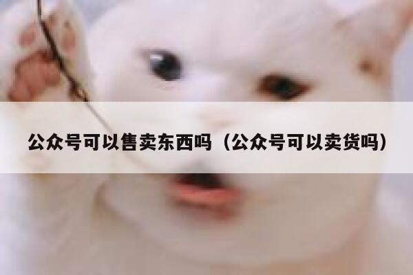 公众号可以售卖东西吗（公众号可以卖货吗） 第1张