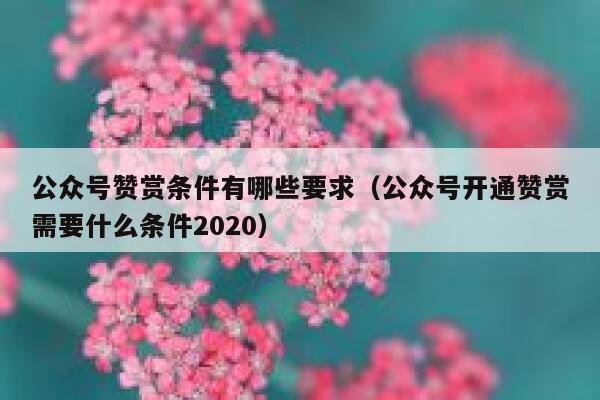 公众号赞赏条件有哪些要求（公众号开通赞赏需要什么条件2020） 第1张
